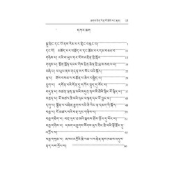 聂多基金会有限公司：第七世噶玛恰美仁波切传记（藏文版）