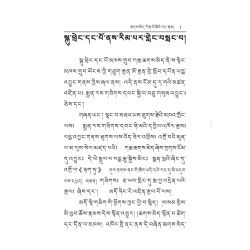 聂多基金会有限公司：第七世噶玛恰美仁波切传记（藏文版）